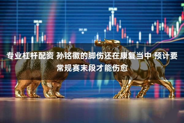专业杠杆配资 孙铭徽的脚伤还在康复当中 预计要常规赛末段才能伤愈