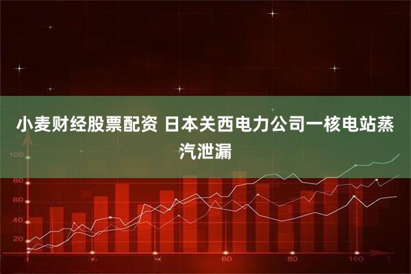 小麦财经股票配资 日本关西电力公司一核电站蒸汽泄漏